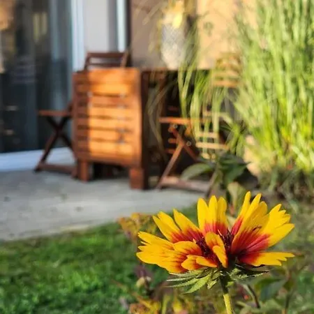 Wygodne M Z Ogródkiem Apartamento *