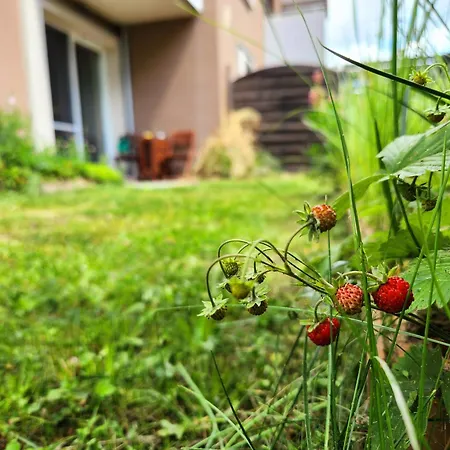 Wygodne M Z Ogródkiem Apartamento *