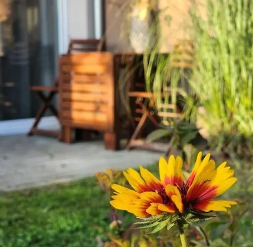 Wygodne M Z Ogrodkiem Apartment *