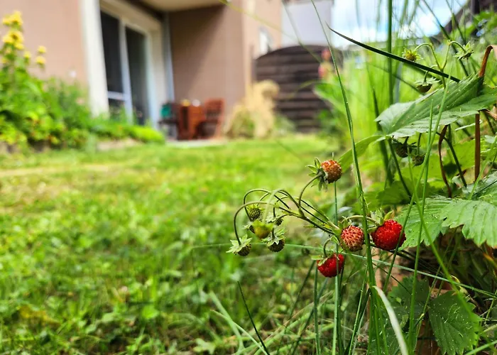 Wygodne M Z Ogrodkiem Apartment *